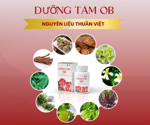 10 Loại thảo dược quý trong Dưỡng Tâm OB